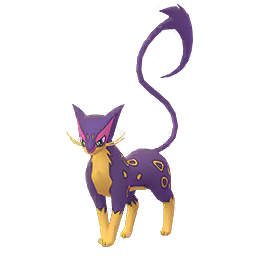 Léopardus